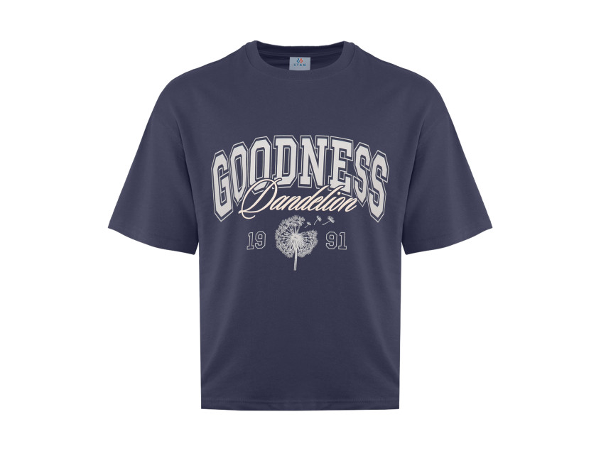 Мерч STAN, Графит