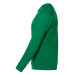 Свитшот унисекс STAN футер с начёсом 260, 53, Зелёный
