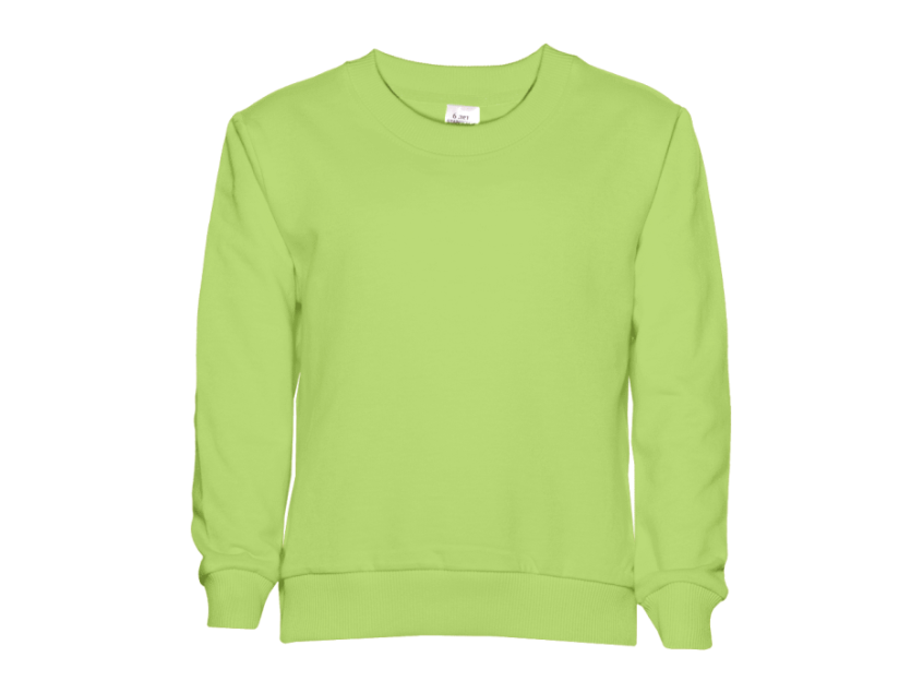 Свитшот детский STAN футер без начёса, 260, 63J, Весенний