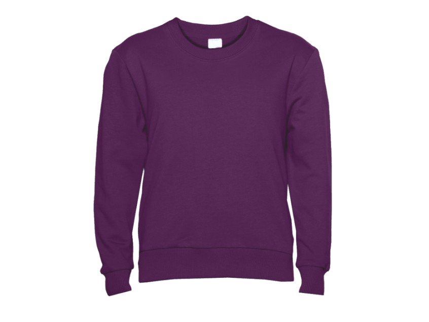 Свитшот детский STAN футер без начёса, 260, 63J, Сливовый
