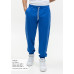 Брюки мужские STAN футер без начёса, 260, 62, Синий